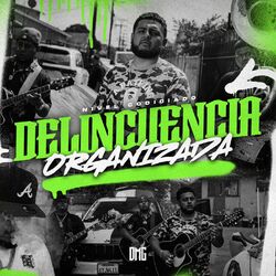 Cover of Delincuencia Organizada