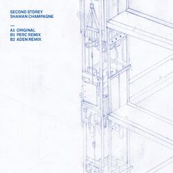 Cover of Shaman Champagne