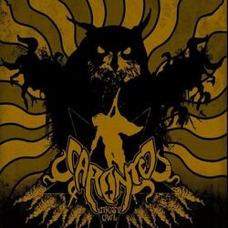 Cover of Ghost Owl