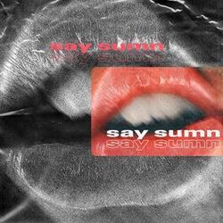 Cover of Say Sumn