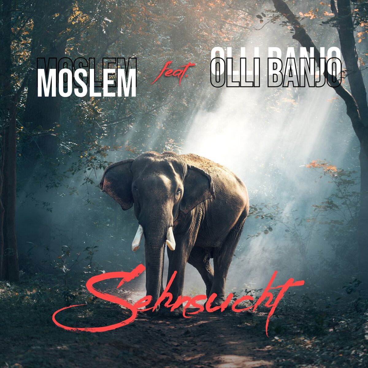 Album cover of Sehnsucht
