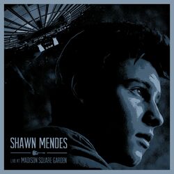 Cover of Live At Madison Square Garden