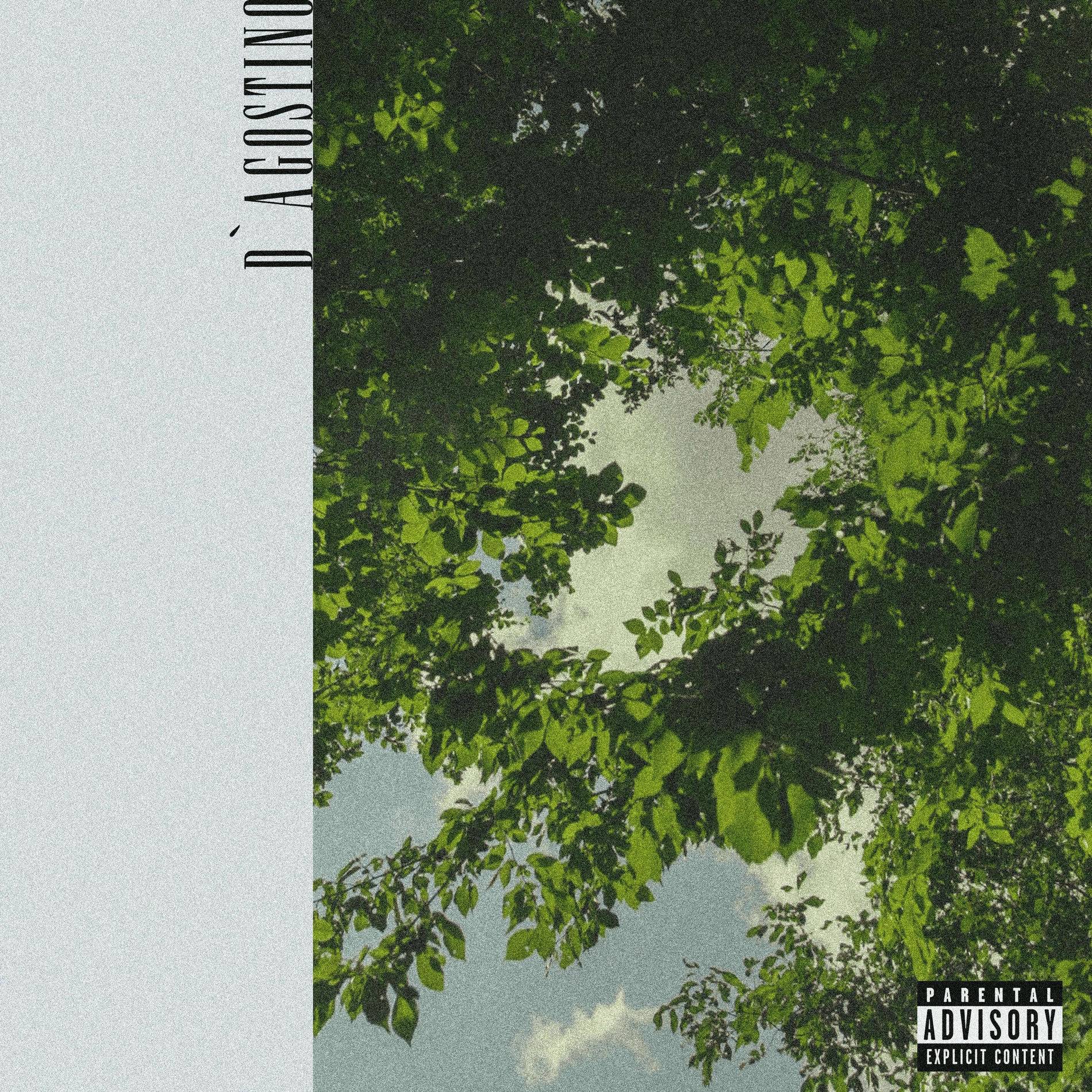 Album cover of D'Agostino