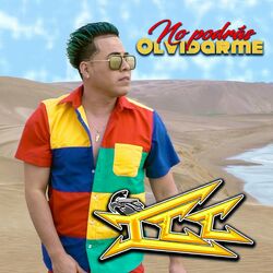 Cover of No Podras Olvidarme