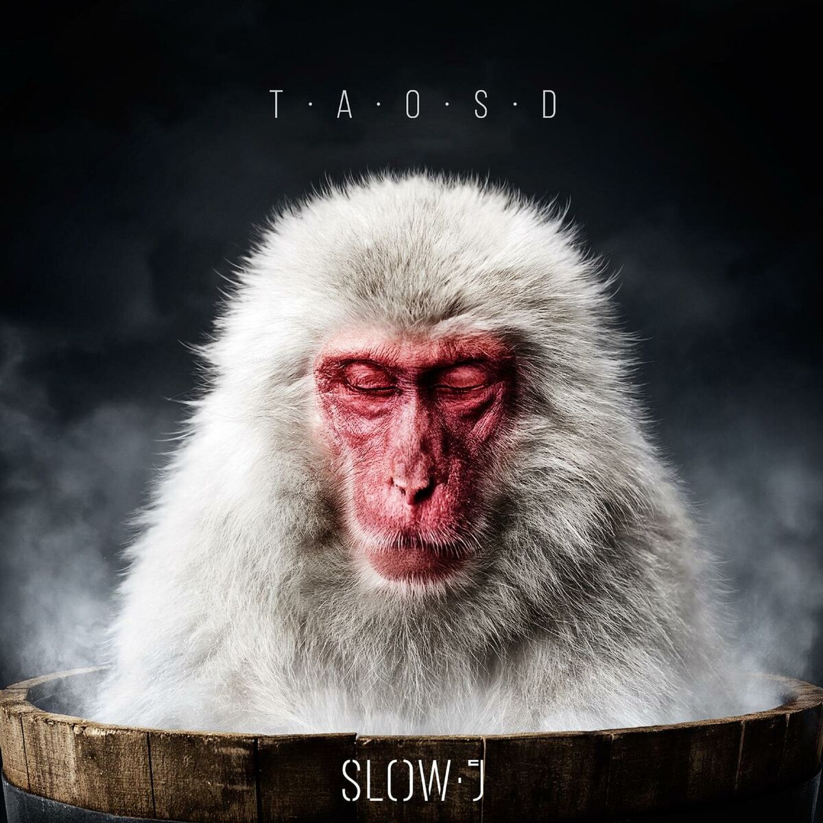 Album cover of The Art of Slowing Down