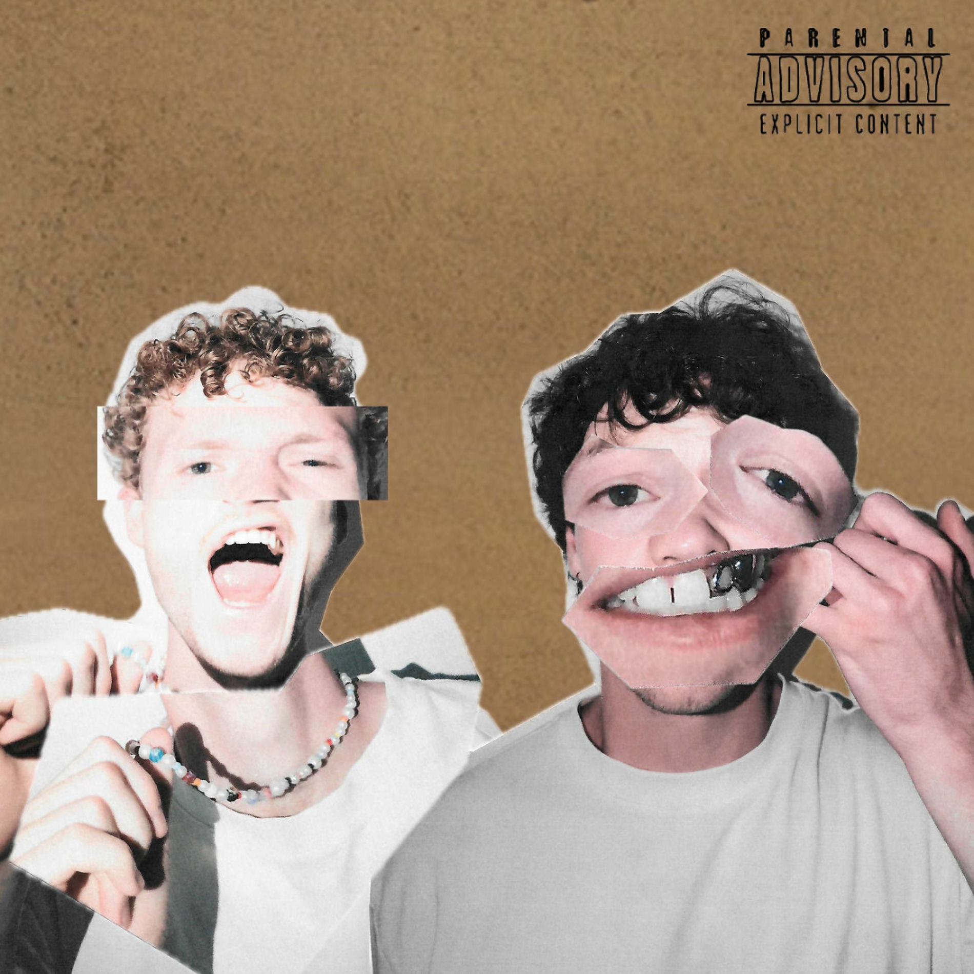 Album cover of Dans sa folie