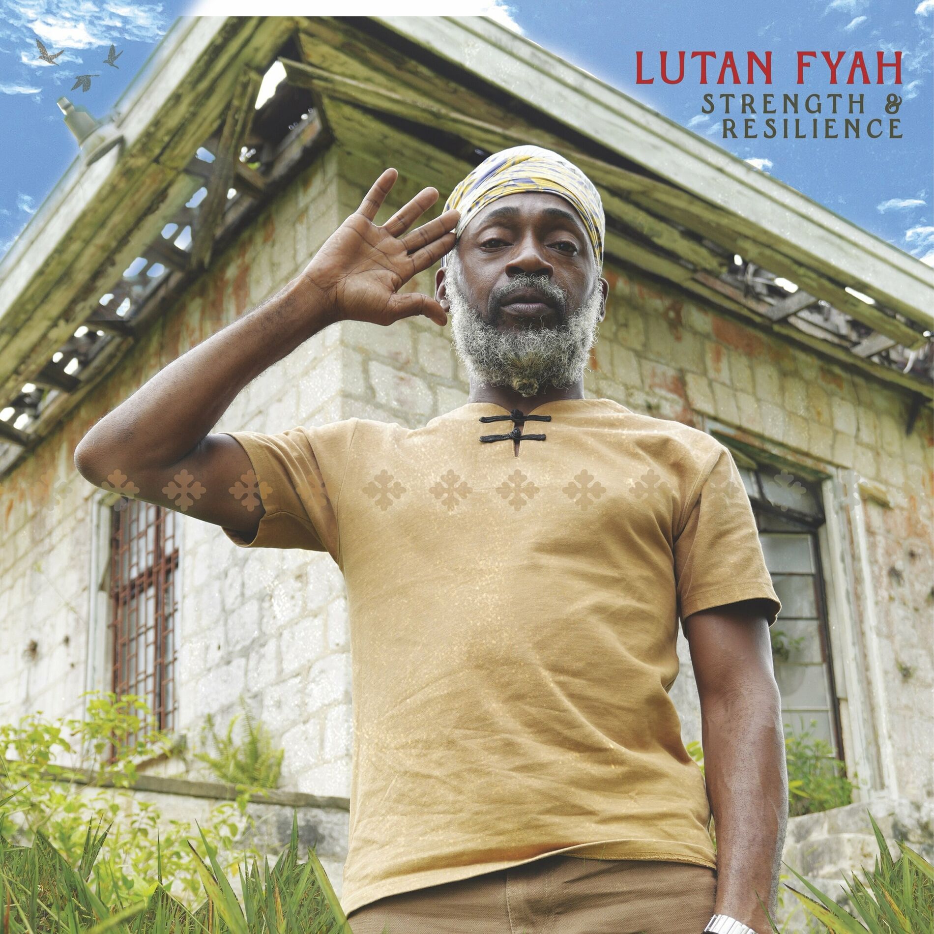 Album cover of Strength and Resilience