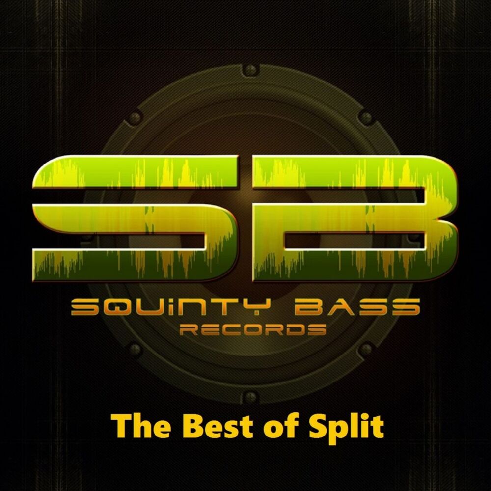 Picture of The Best of Split