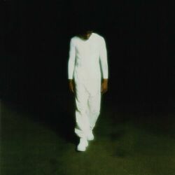 Cover of Never Felt So Alone