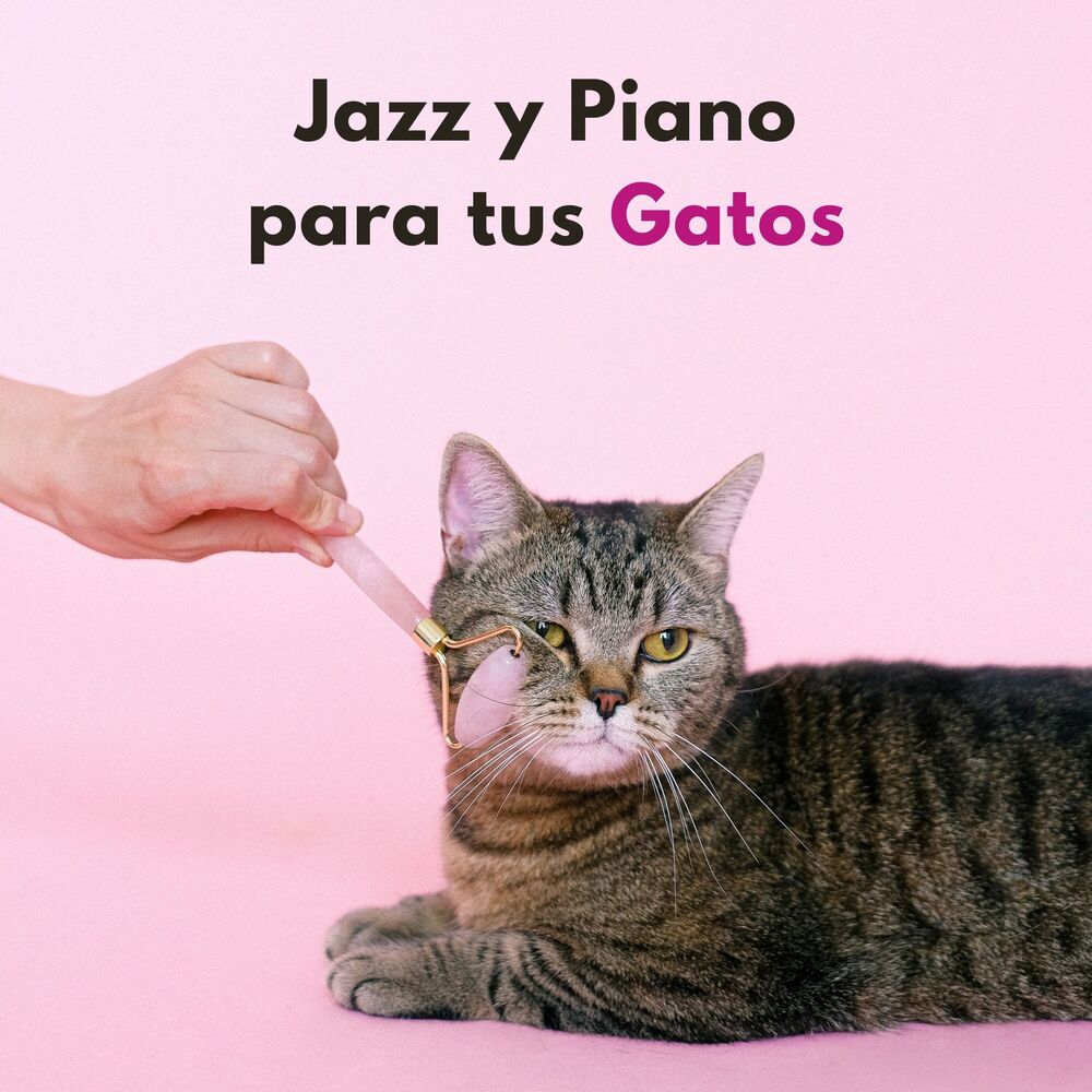 Picture of Jazz Y Piano Para Tus Gatos