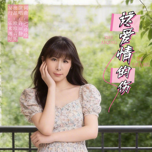 这爱情的伤