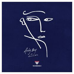 Cover of Arty Boy (The Remixes II)