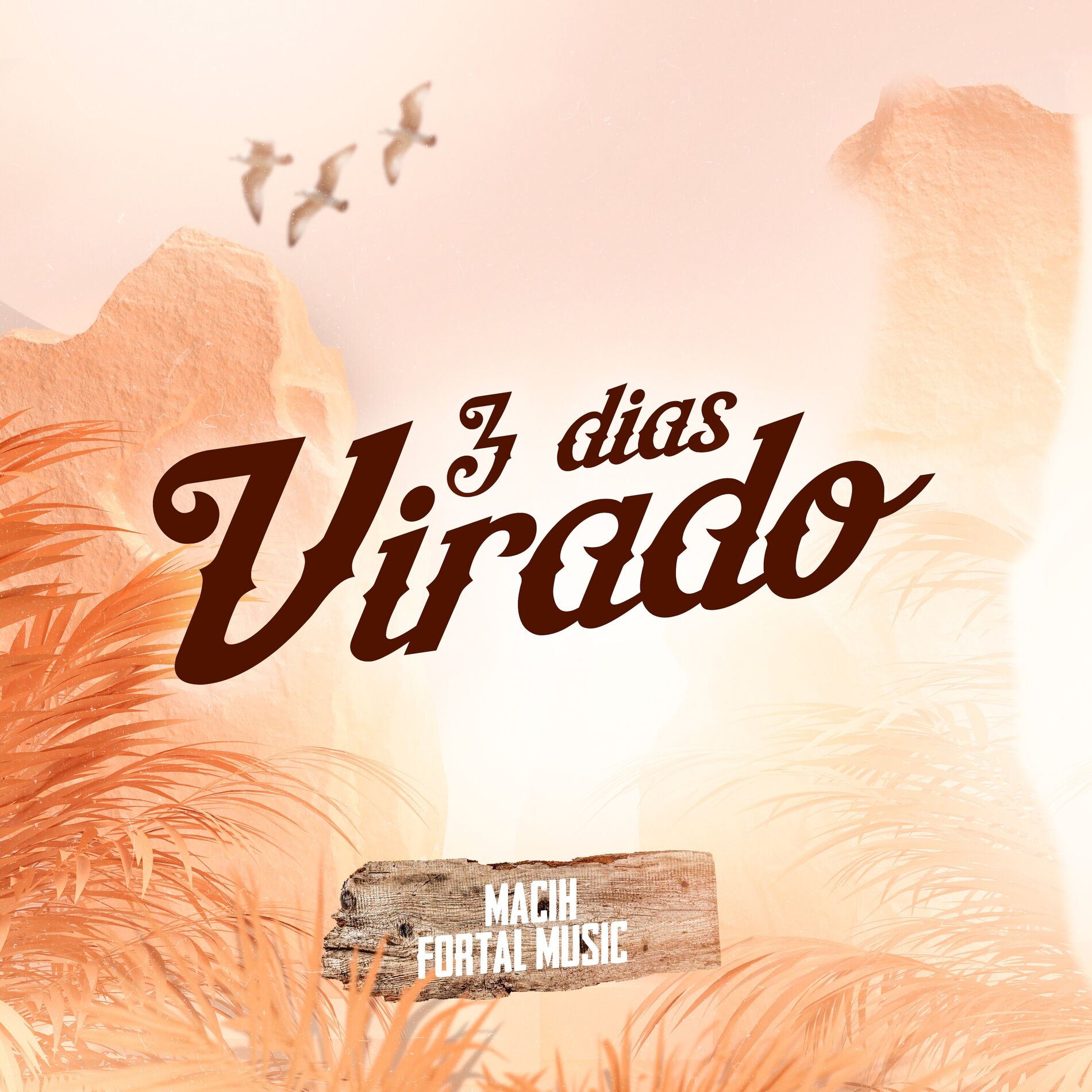 Album cover of 3 Dias Virado
