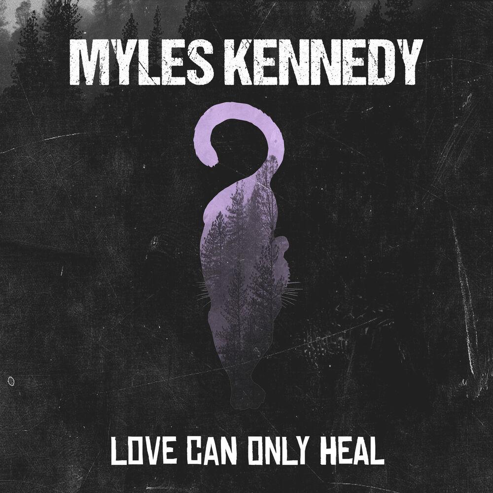 Picture of Love Can Only Heal