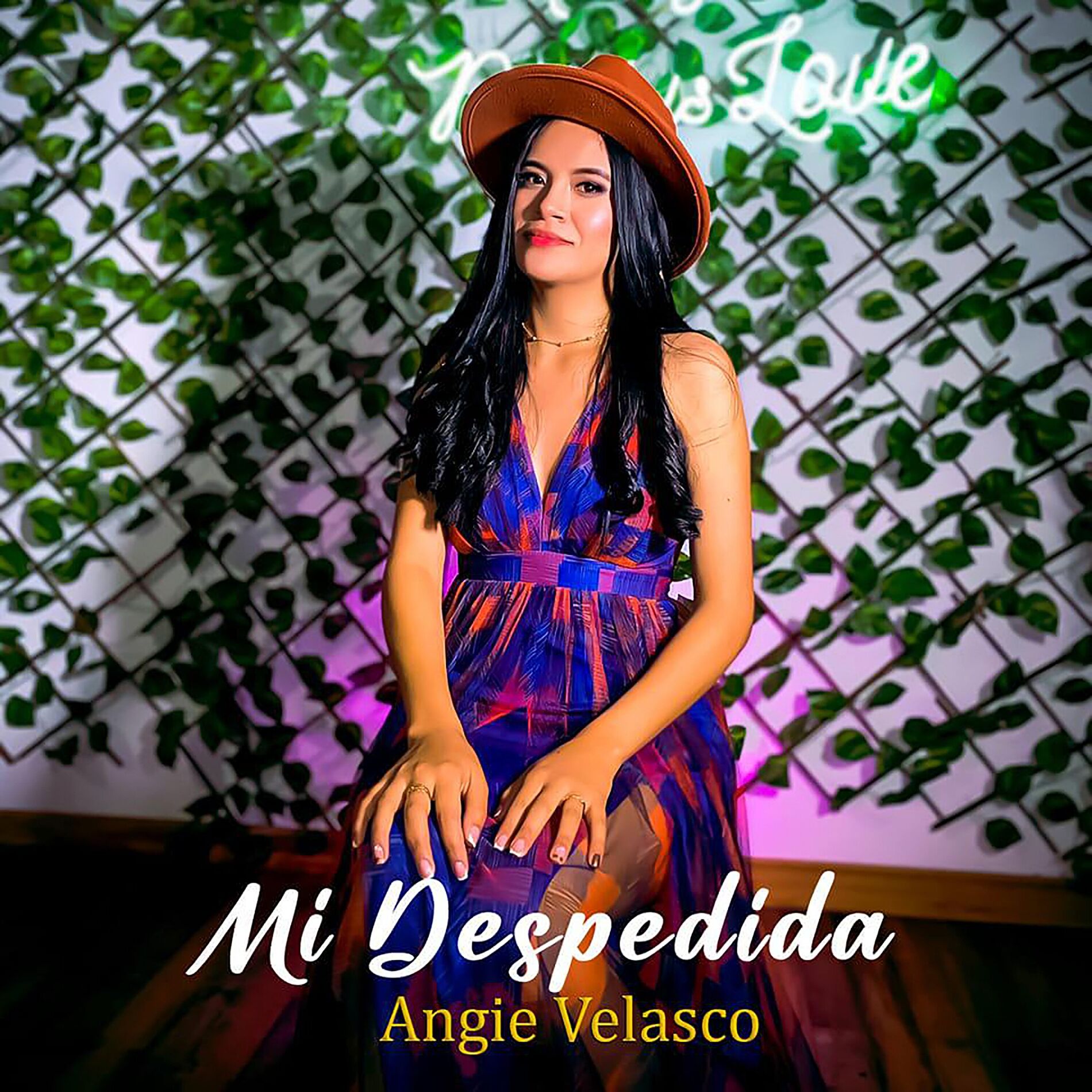 Album cover of Mi Despedida
