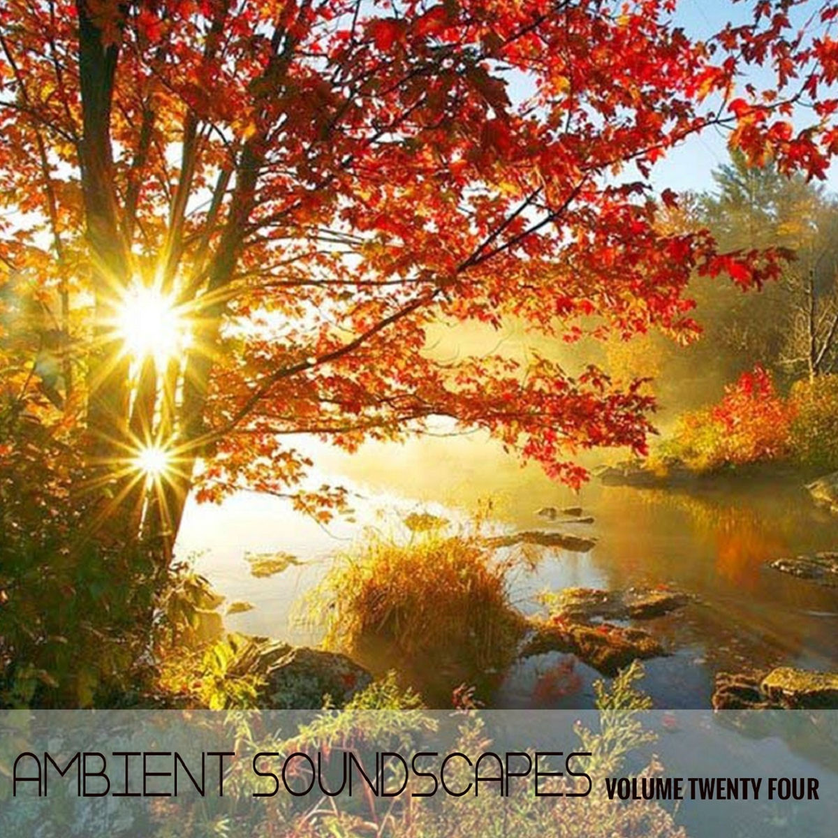 Album cover of Ambient SoundScapes Vol 24