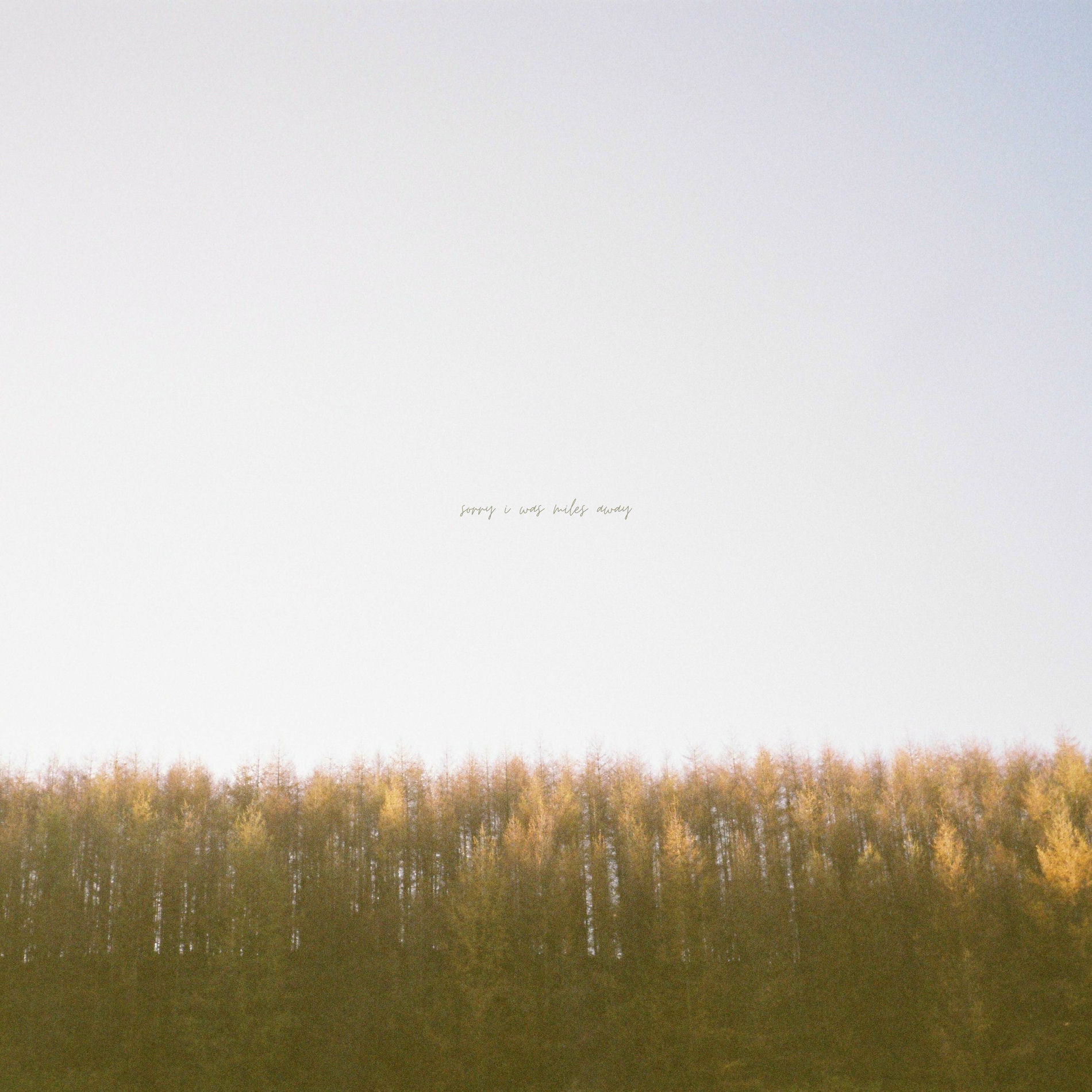 Album cover of sorry i was miles away