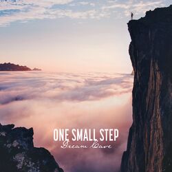 Cover of One Small Step