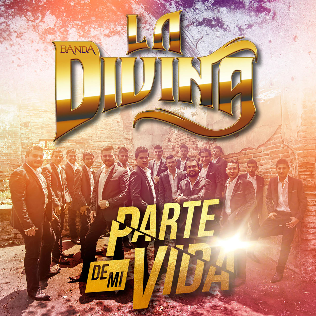 Album cover of Parte de Mi Vida