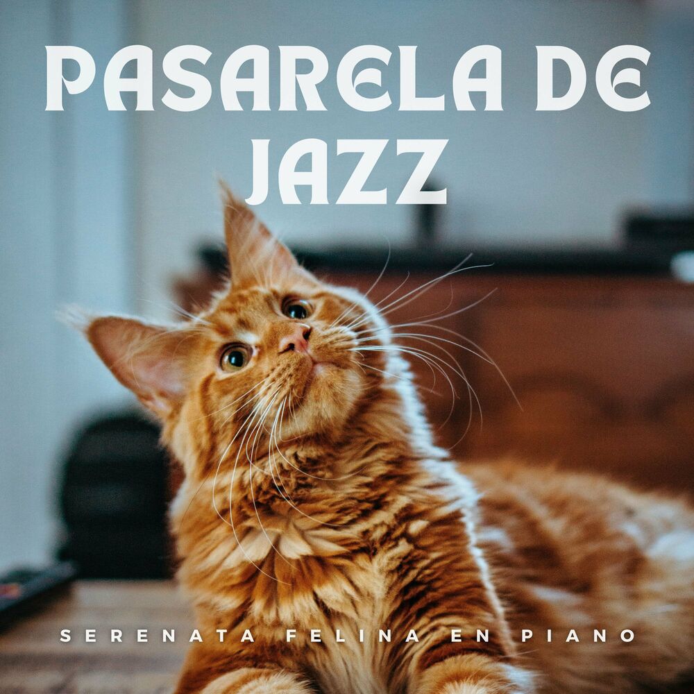 Picture of Pasarela De Jazz: Serenata Felina En Piano