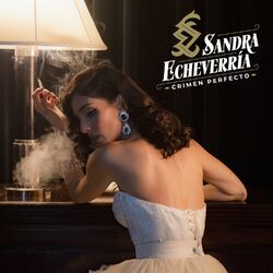 Cover of Crimen Perfecto