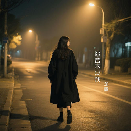 你若不爱我