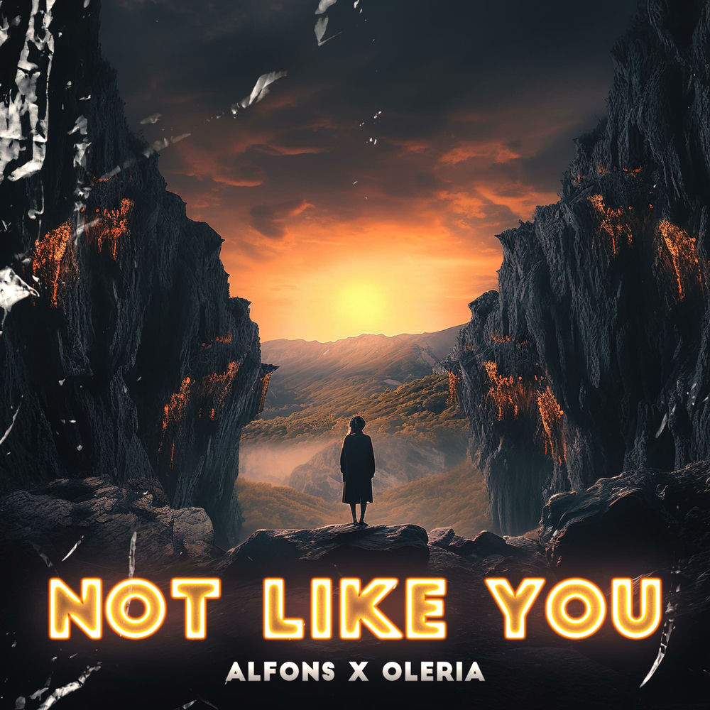 Pochette du titre Not Like You