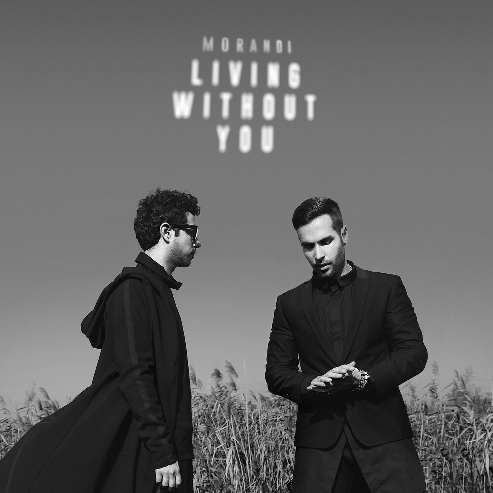 Picture of Living Without You