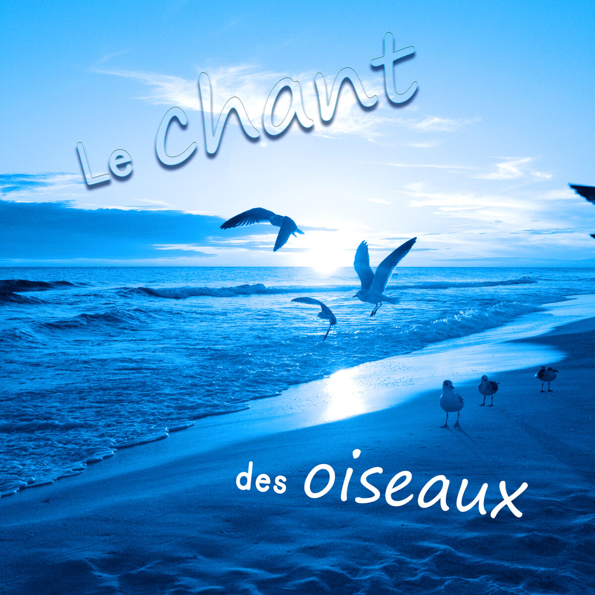 Album cover of Le chant des oiseaux - Oasis de détente et bien-être, musique pour la méditation, sons de la nature, musique de yoga & vagues de L