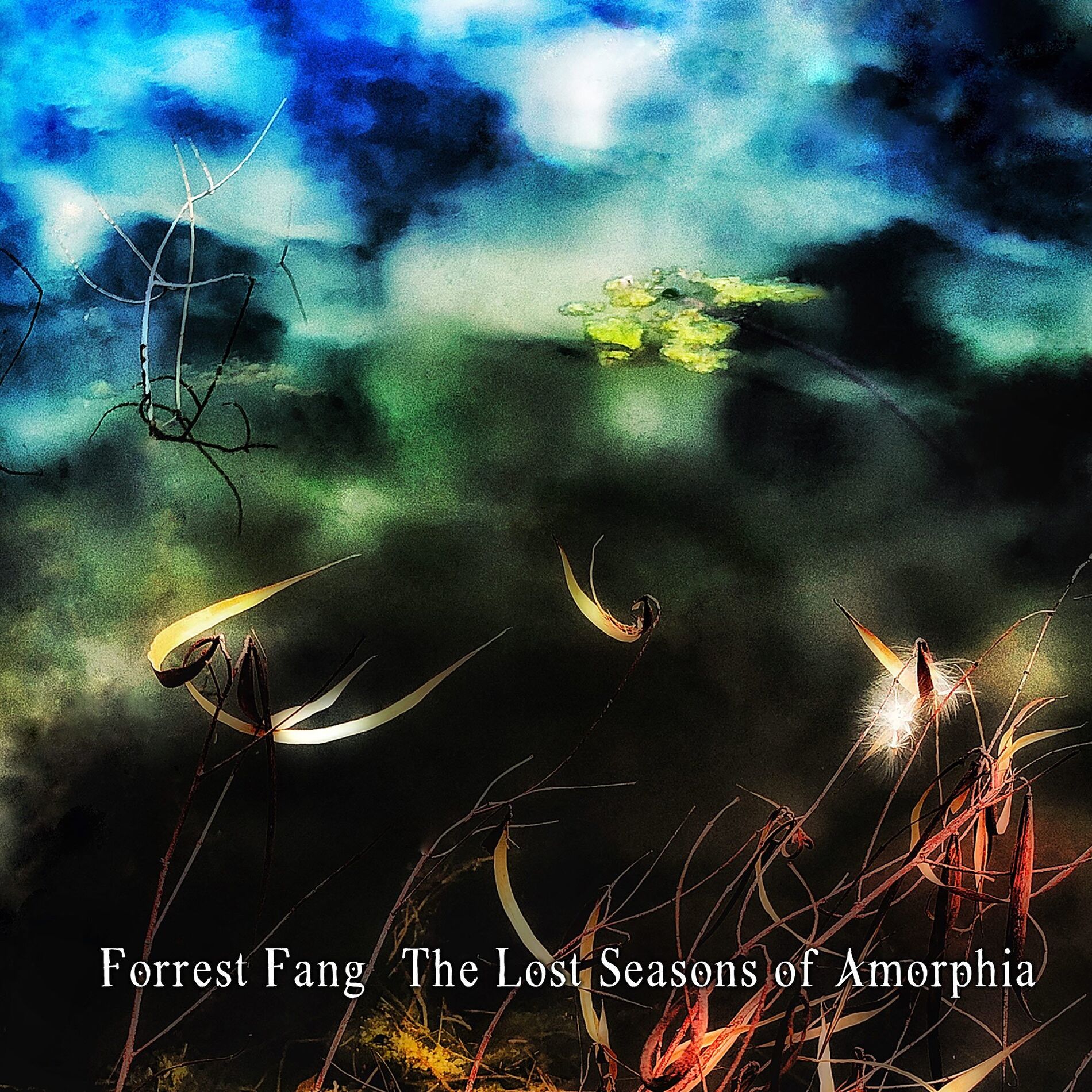 Album cover of The Lost Seasons of Amorphia