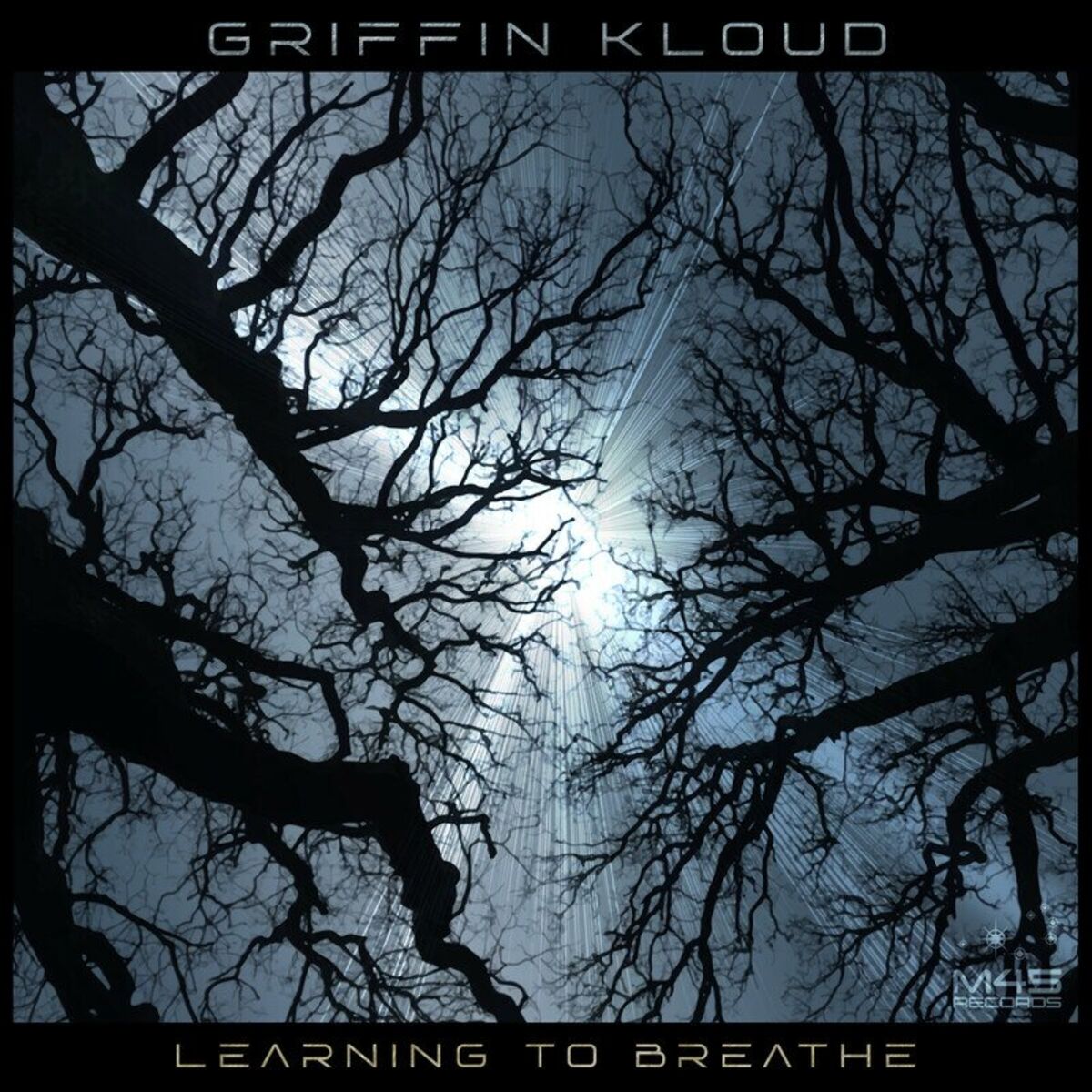 Album cover of Learning to Breathe
