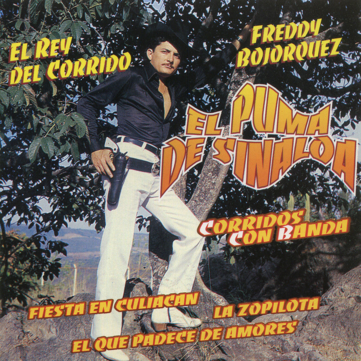 Album cover of Fiesta en Culiacán