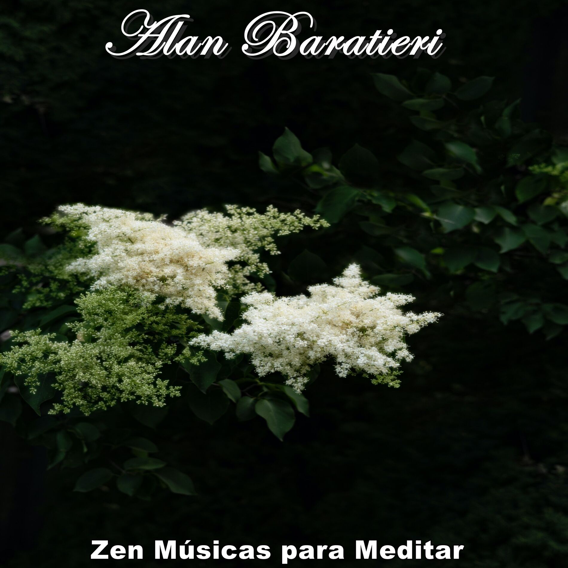 Album cover of Zen Músicas para Meditar