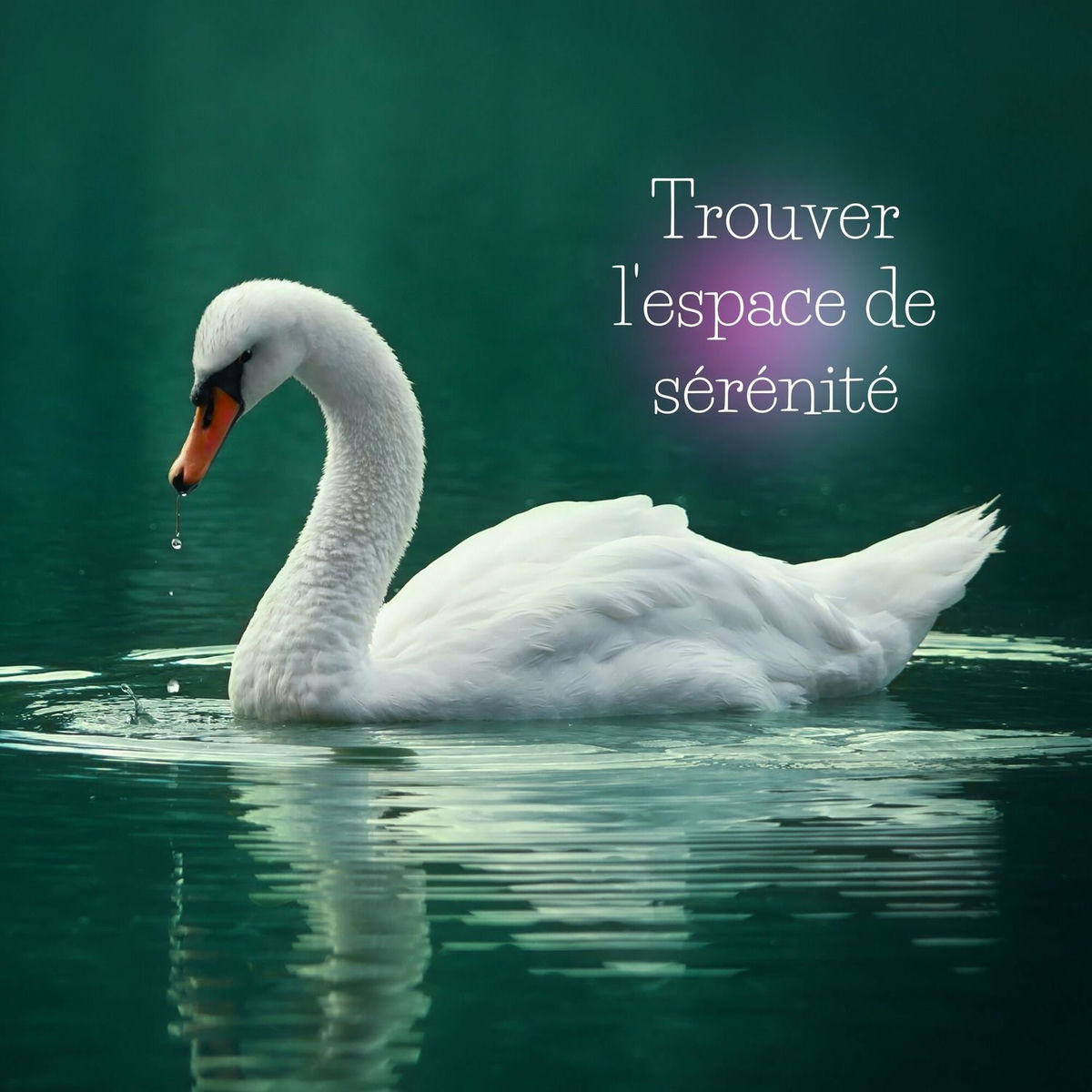 Album cover of Trouver l'espace de sérénité