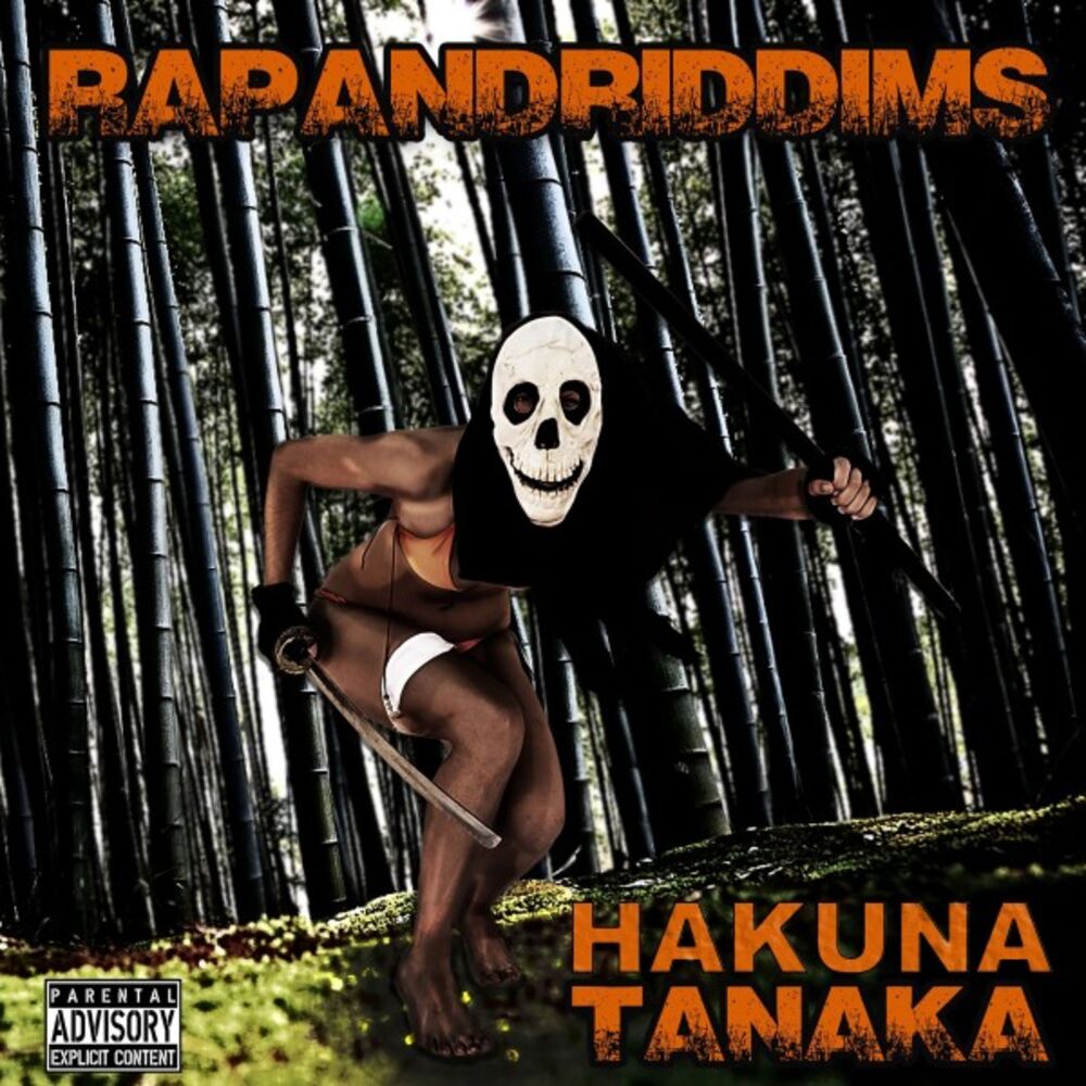 Picture of Rapandriddims