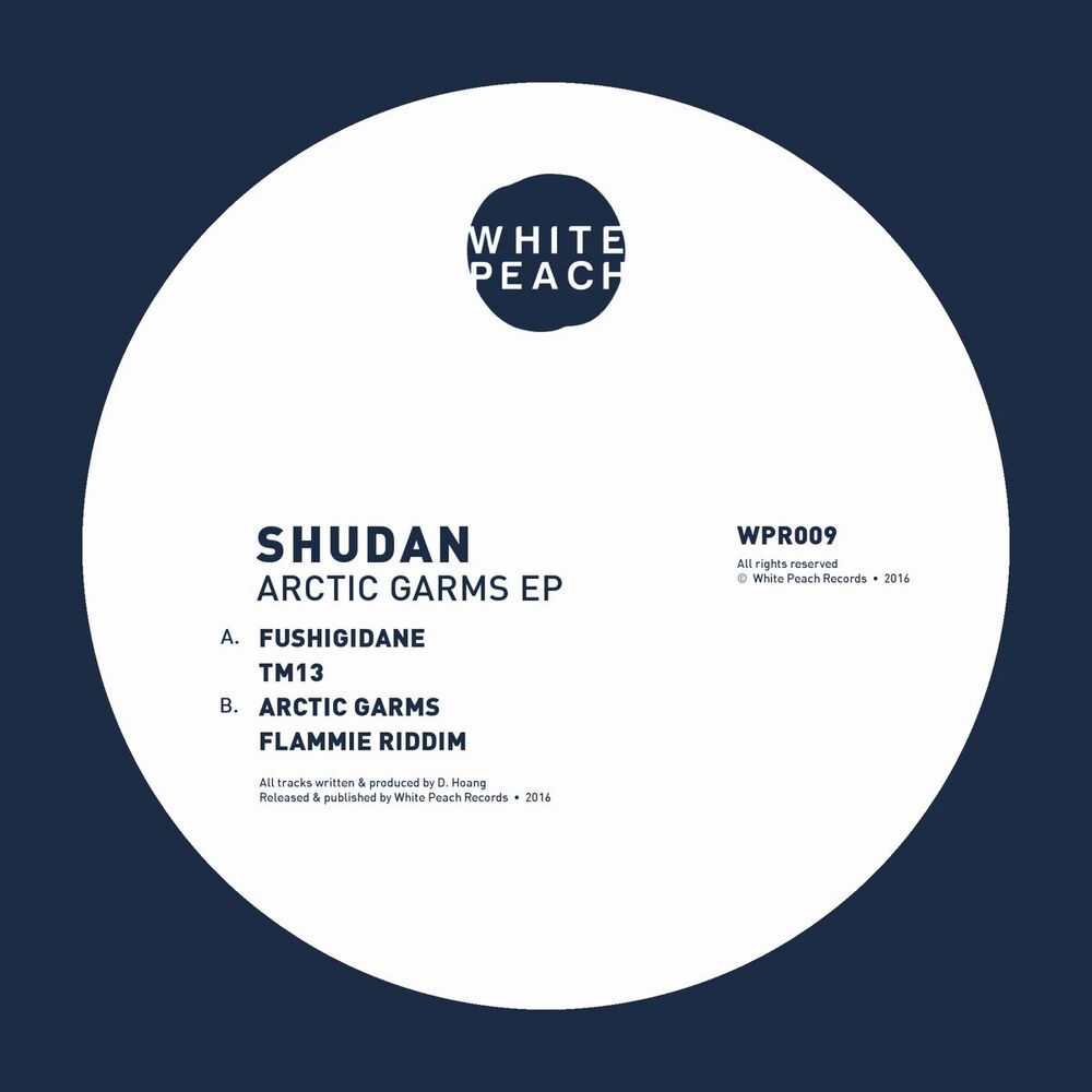 Picture of Arctic Garms EP