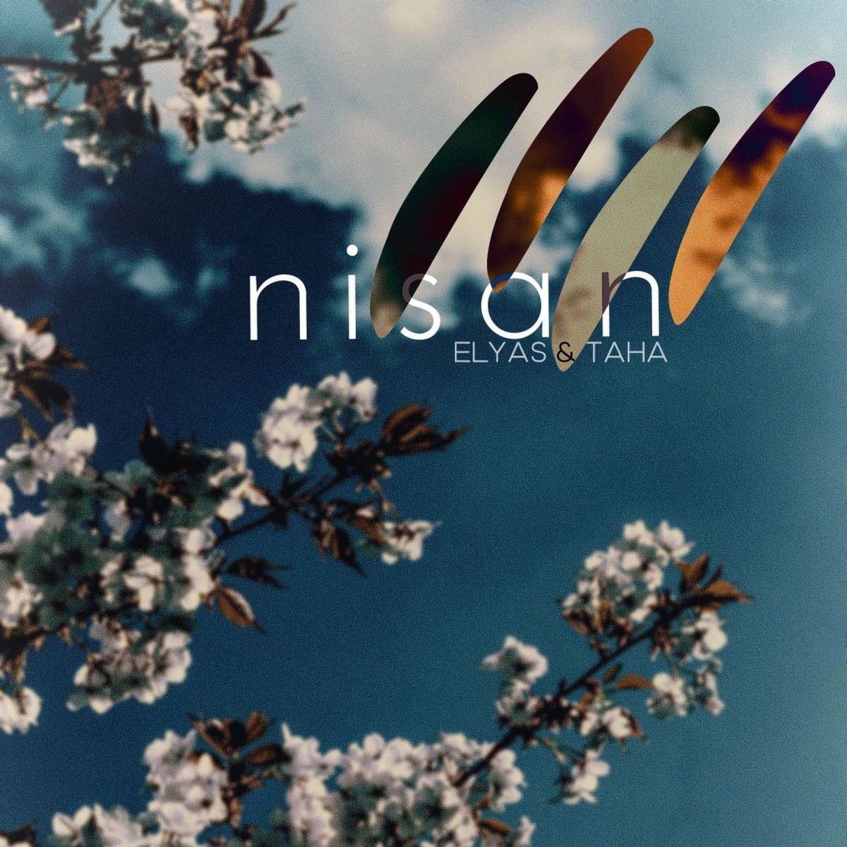 Album cover of Nisan