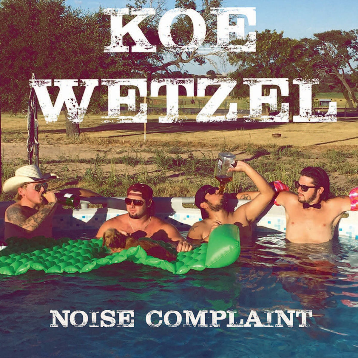 Album picture of Noise Complaint