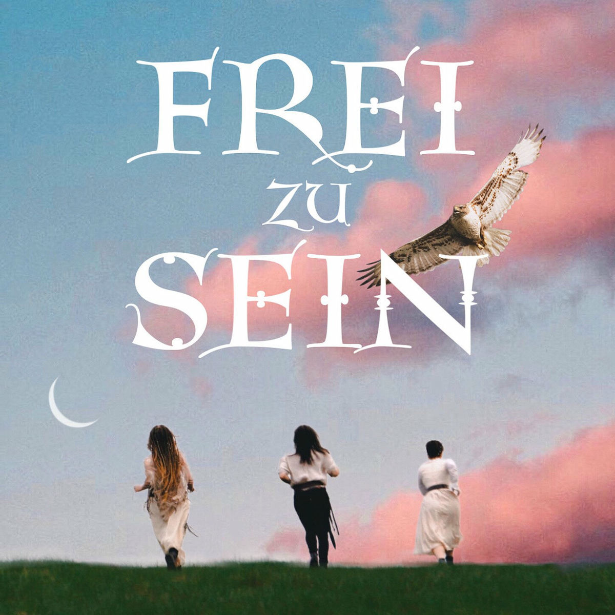 Album cover of Frei zu sein (Tri Martolod)