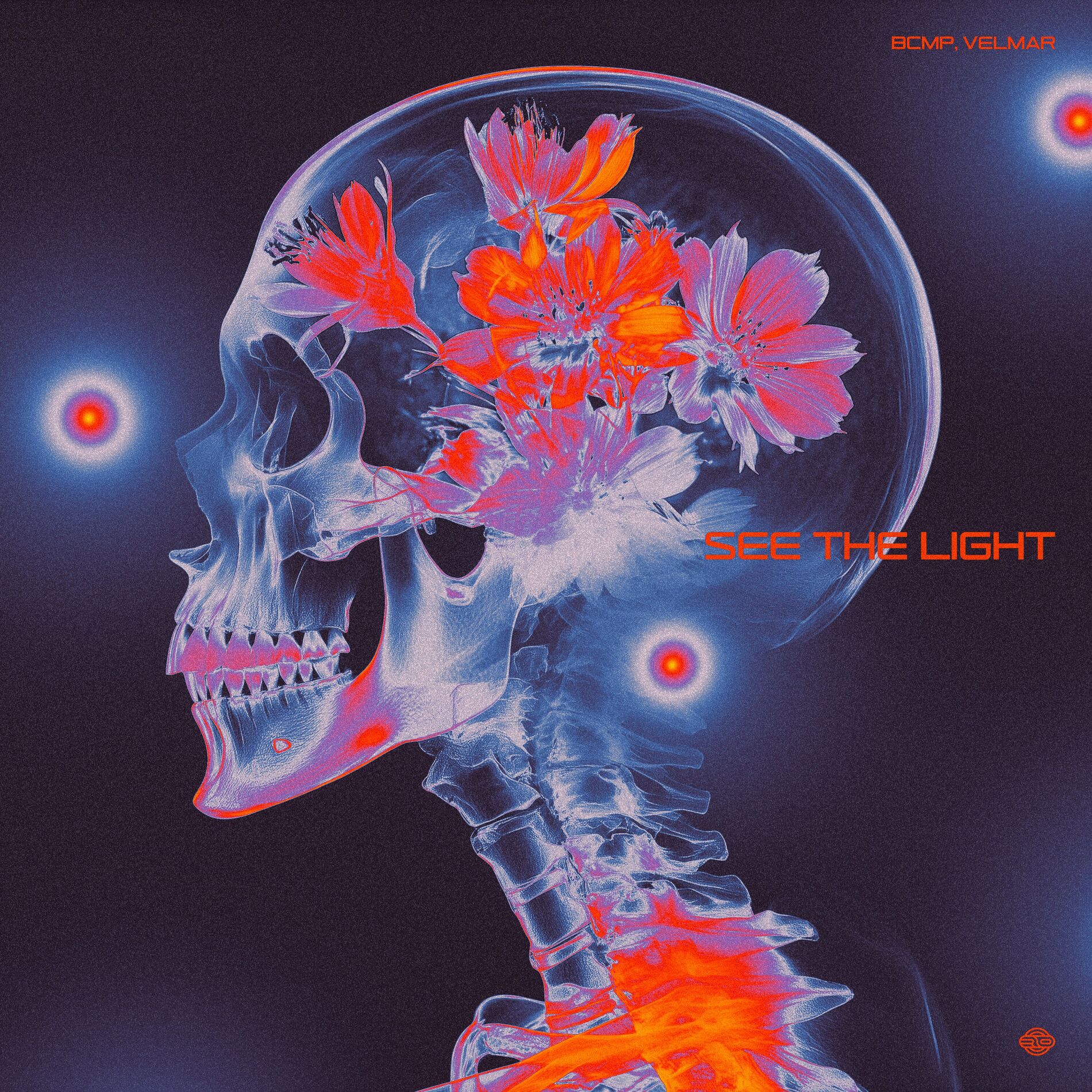 Album cover of See The Light