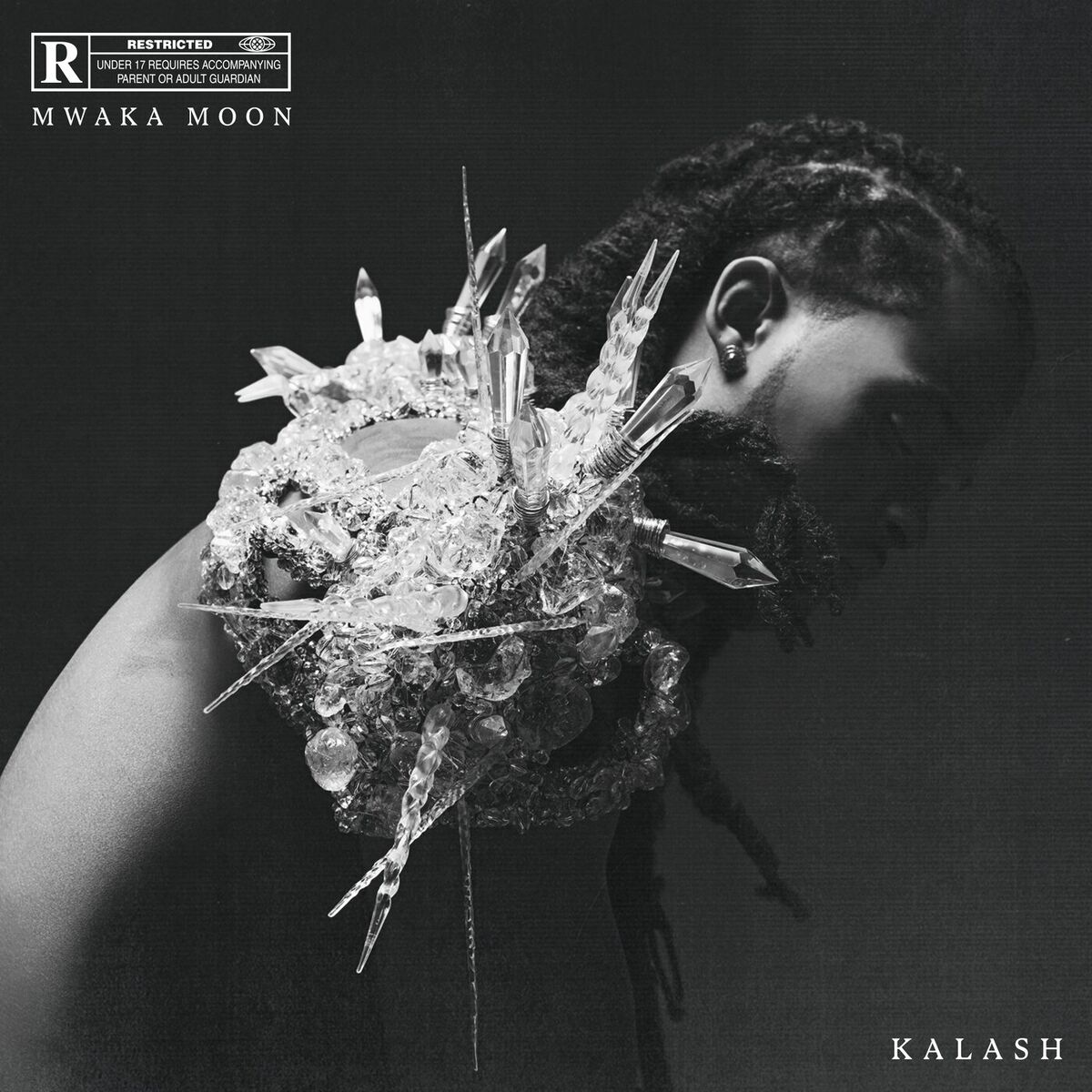 Album cover of Mwaka Moon