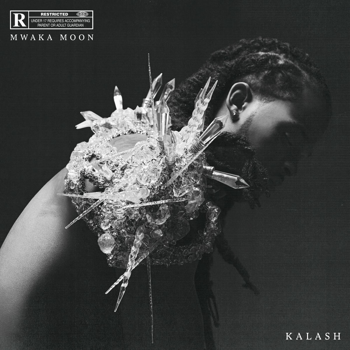 Album cover of Mwaka Moon