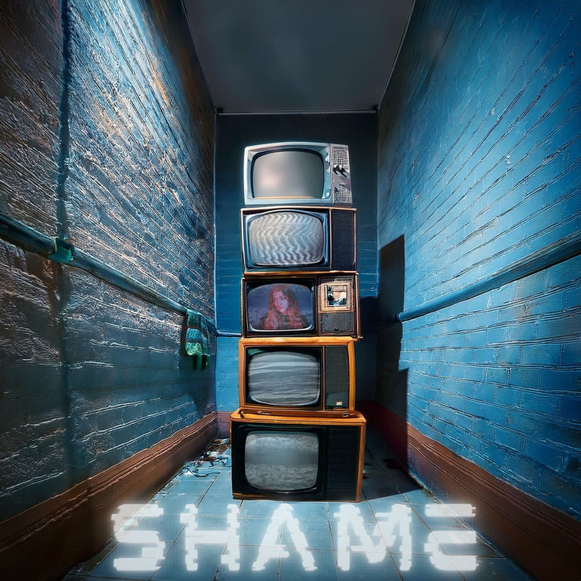 Album cover of Shame
