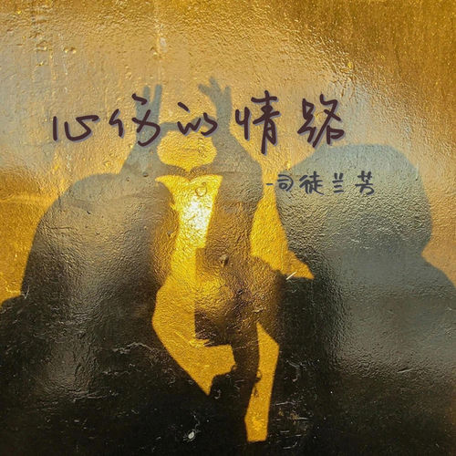 心伤的情路