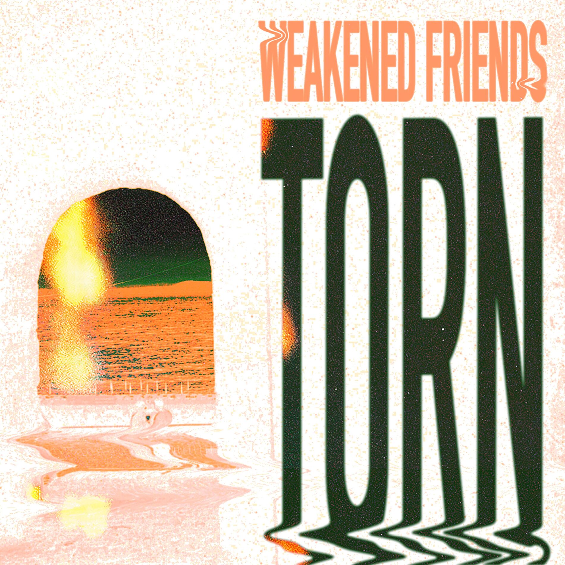 Album cover of Torn