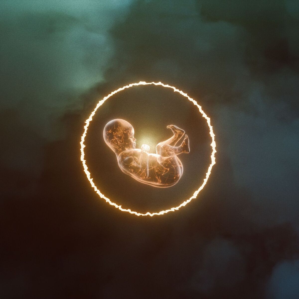 Album cover of before it begins