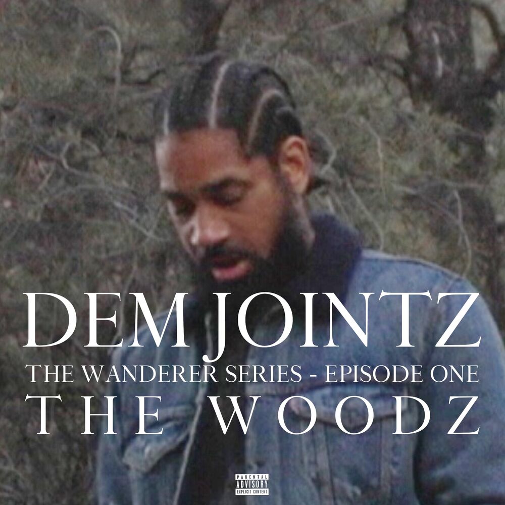 Picture of THE WOODZ