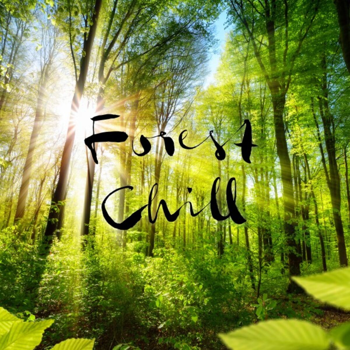 Album cover of Forest Chill