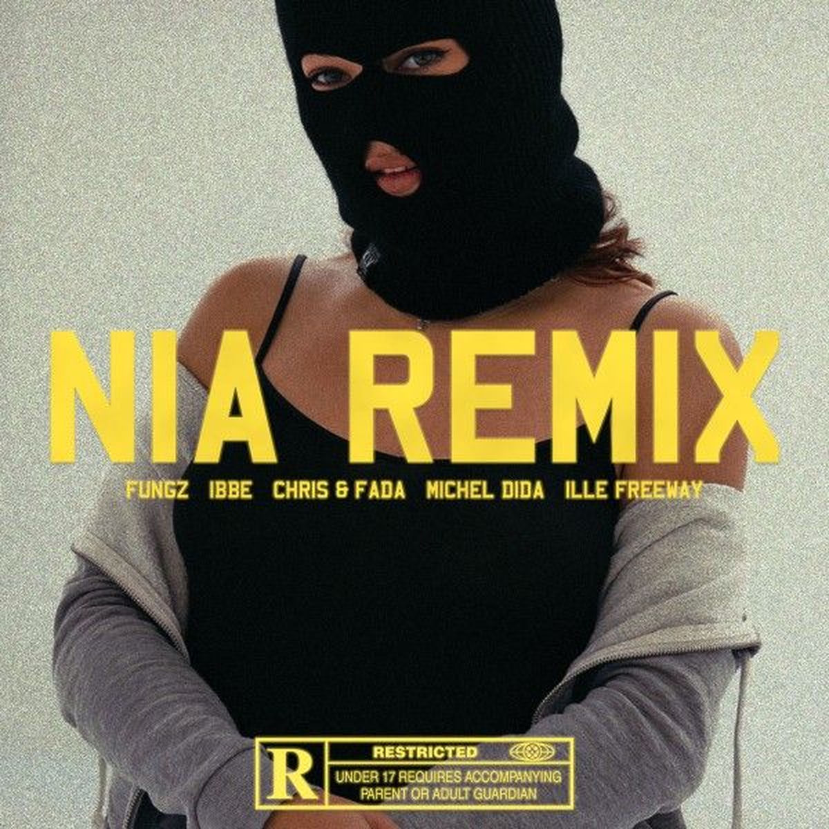 Album cover of NIA (Remix)