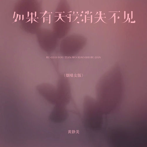 如果有天我消失不见 (烟嗓版)